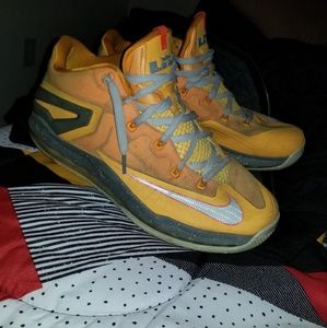 Lebron airmax